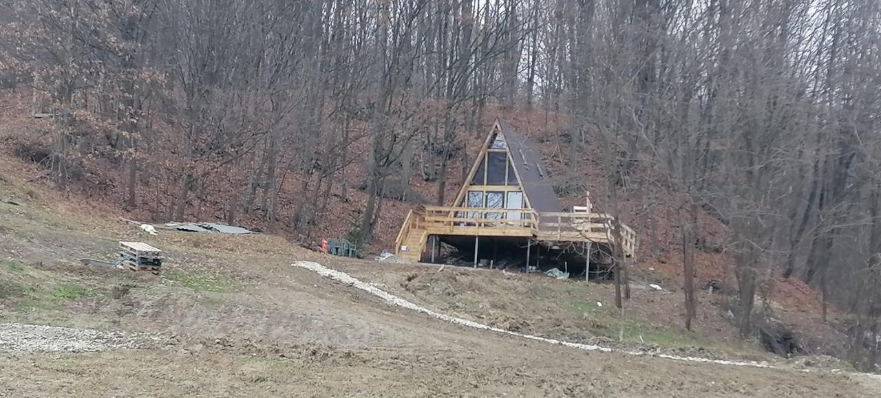 Cabanaaframe Intreaga Proprietate Curtea de Argeş Exterior foto