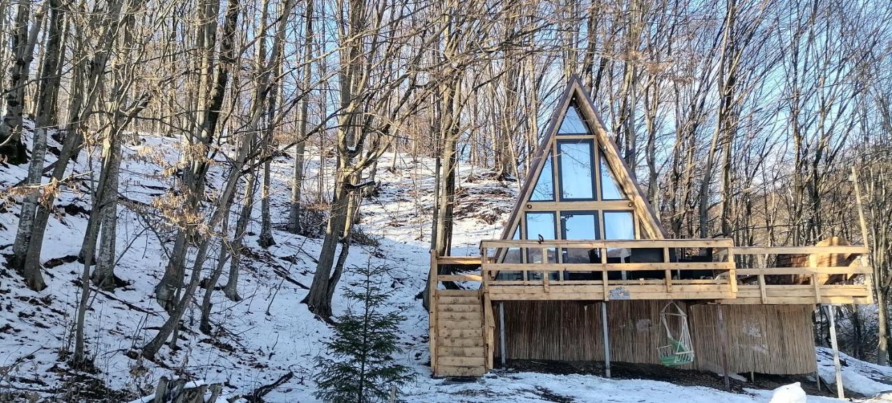 Cabanaaframe Intreaga Proprietate Curtea de Argeş Exterior foto